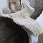 Casa Do Tear Дом отдыха Macieira de Alcoba