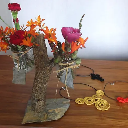 Casa Do Tear 度假居 Macieira de Alcoba