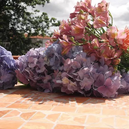 度假居 Casa Do Tear *