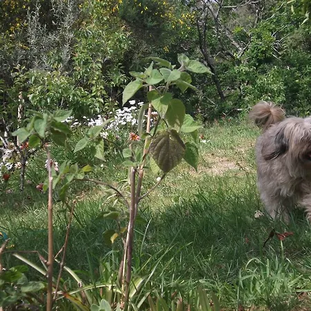 Casa Do Tear 度假居 Macieira de Alcoba
