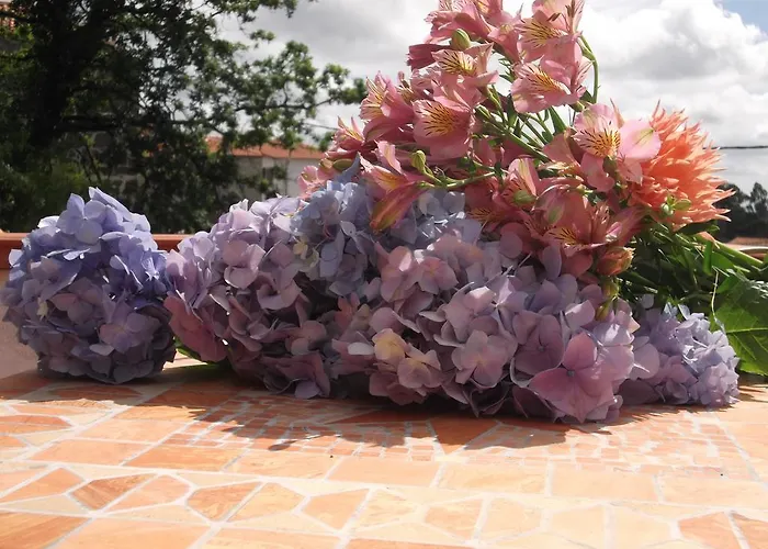 بيت للعطل Casa Do Tear *